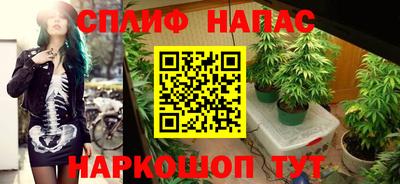 прущие грибы Дубна