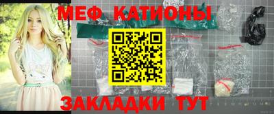 прущие грибы Дубна