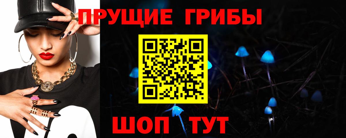 Галлюциногенные грибы прущие грибы Лабинск